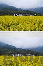 国产一区二区三区麻豆视频-爱情与文化，从麻豆视频探讨国产剧的魅力与多元化
