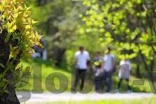 麻豆视频91视频-麻豆视频91视频，网络时代下内容的多元探讨