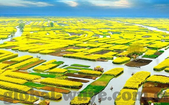美国伦理大片儿网-探索美国伦理大片的网络魅力，一部文化与道德的交织之旅