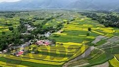 亚洲欧美日韩av-亚洲、欧美、日韩AV，文化差异与市场探索